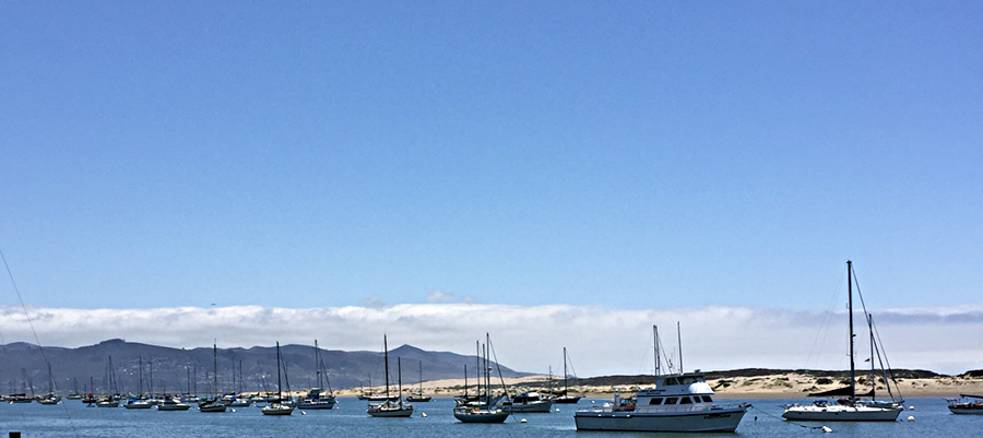 Morro moorings.