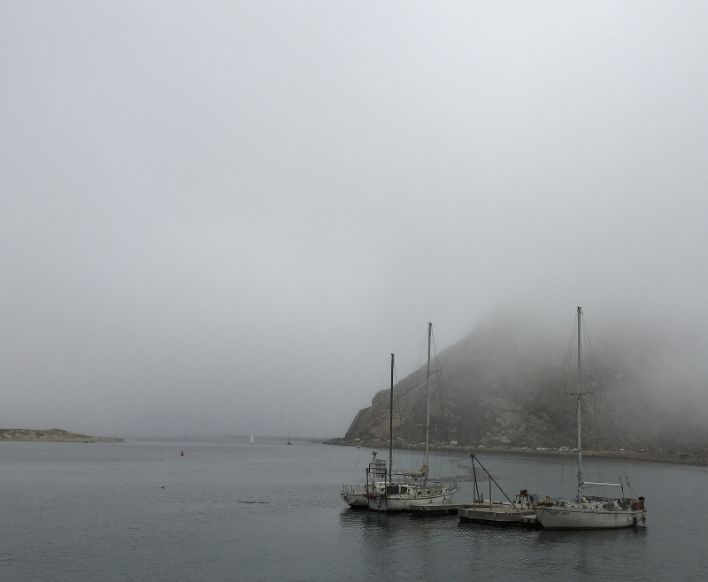 boats in morro bay