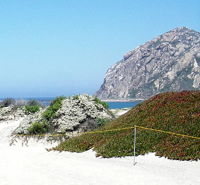 The "rock" in morro bay, Morro Rock