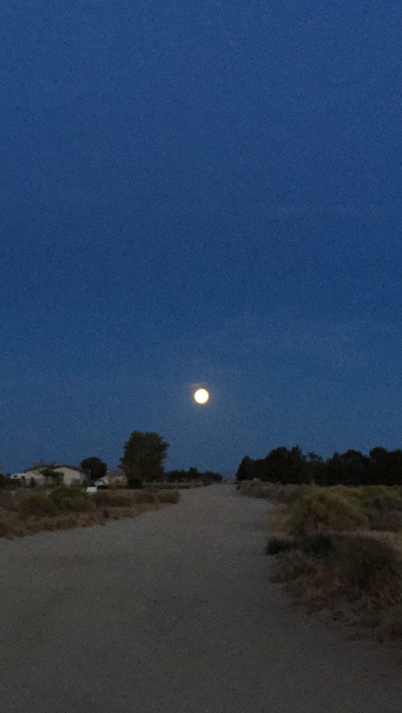 october moonrise