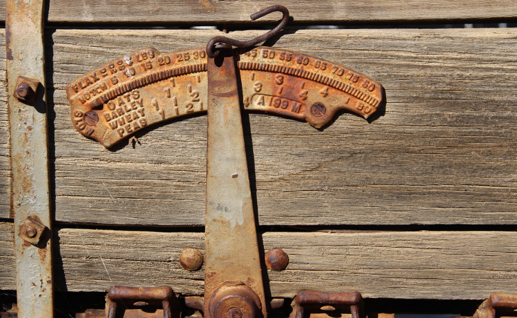 Old farm equipment , August 2013.