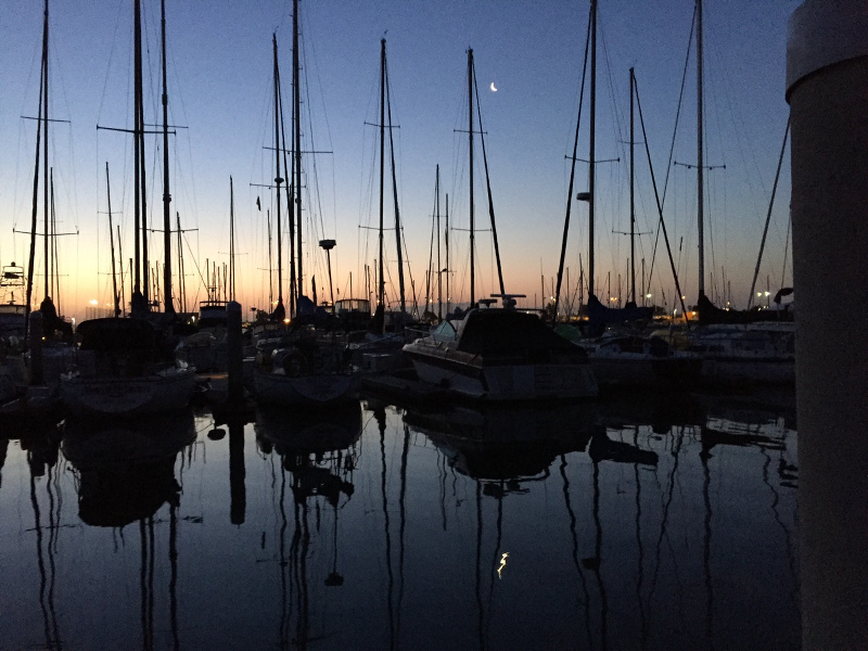 Old moon rising over marina