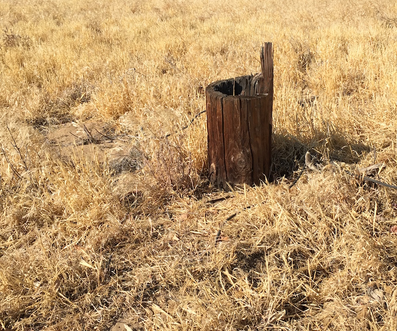 An old stump in the field.