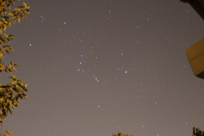 The constellation Orion, via T3i, September 2013.