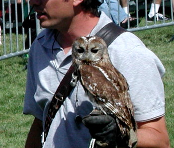 owl and handler