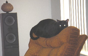 phoebe