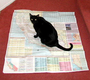 Phoebe on a map of california