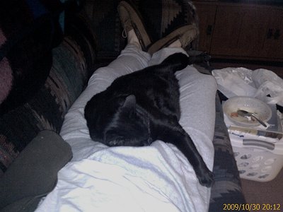 Phoebe sleeping