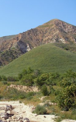 Piru hillside