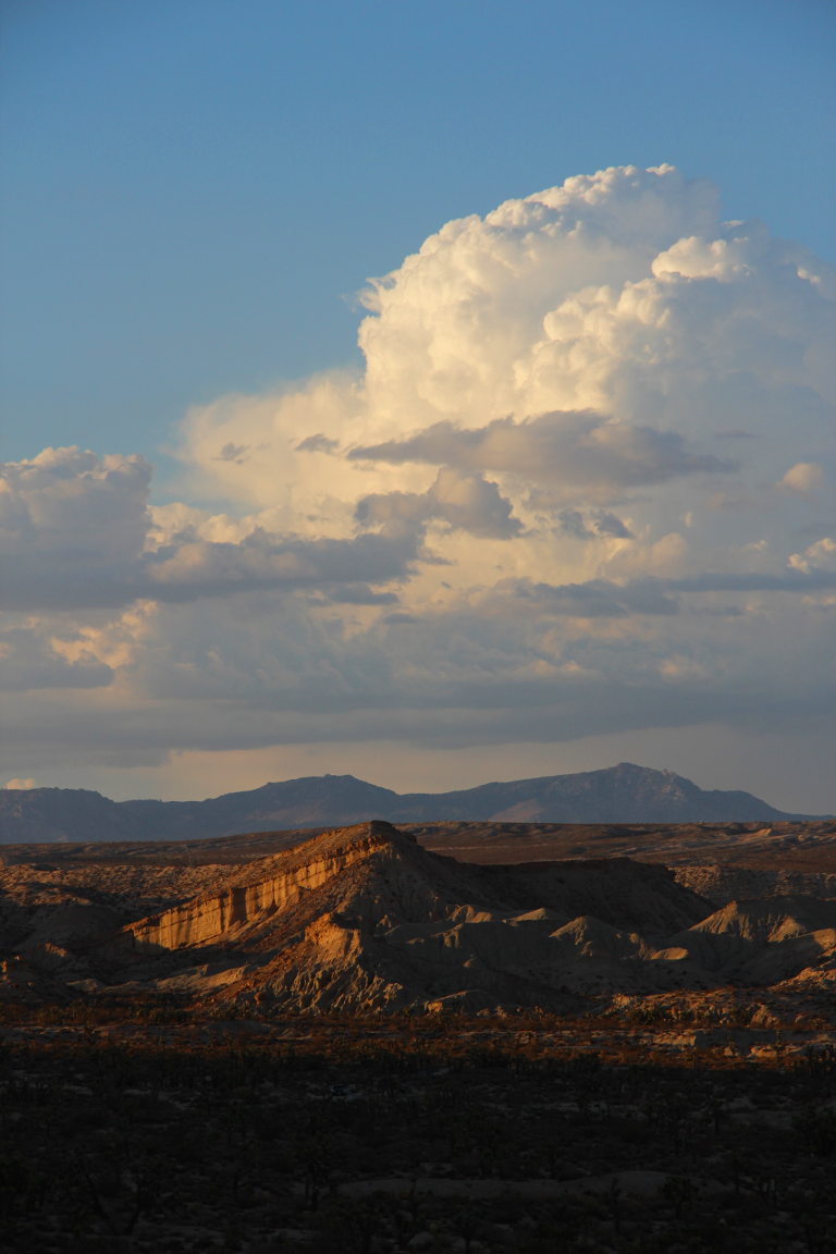 Red Rock landscape