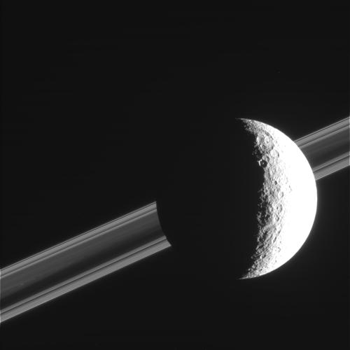 rhea against Saturns rings