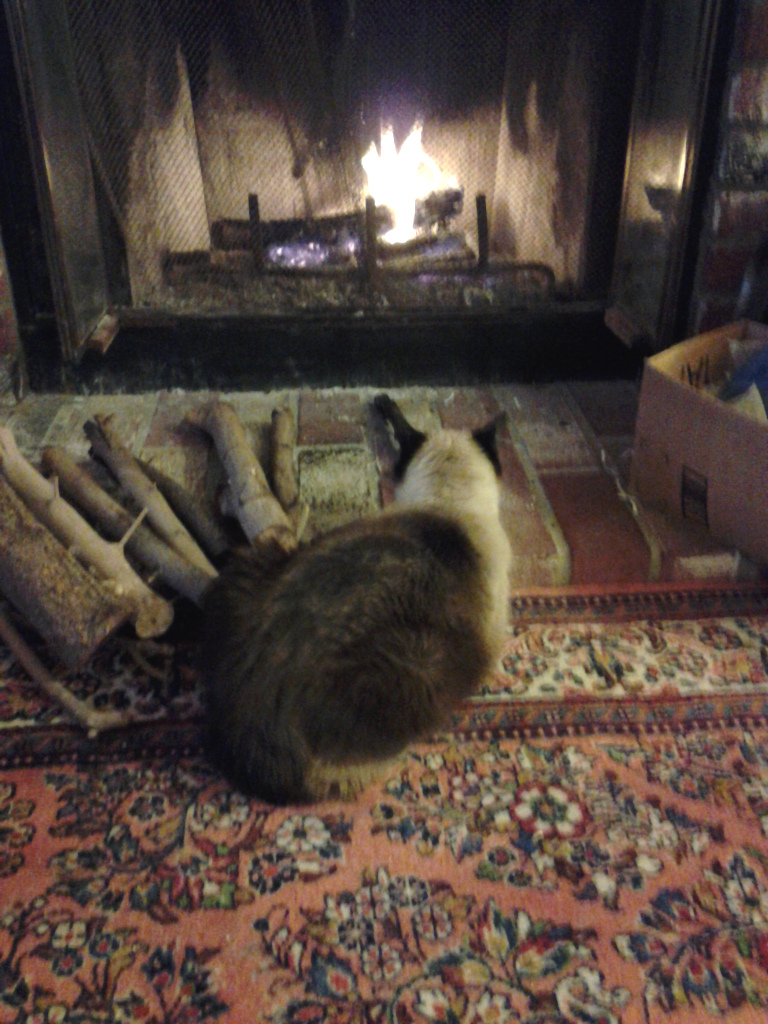 riely and the fireplace