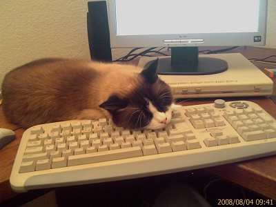 Riley, helping me blog...