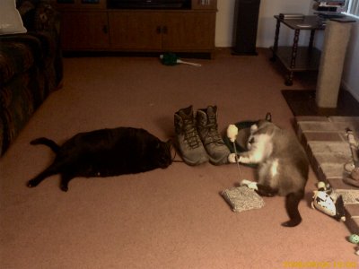 Riley and Phoebe