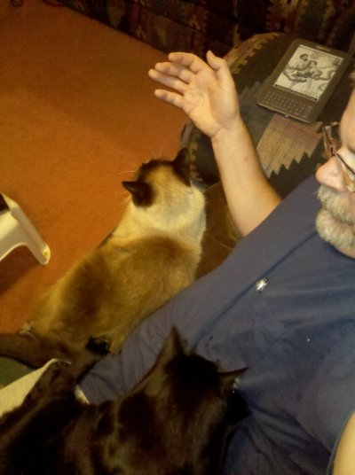 Riley, Phoebe, Ed.
