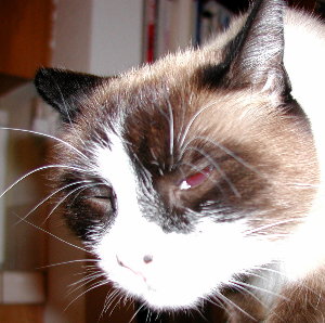 riley upon being awoken