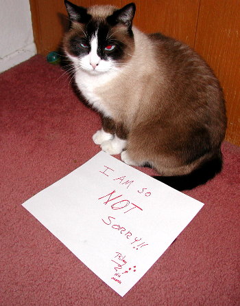 riley isn't sorry