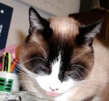 riley drinking