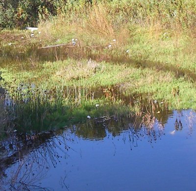 san clara river near the pacific ocean