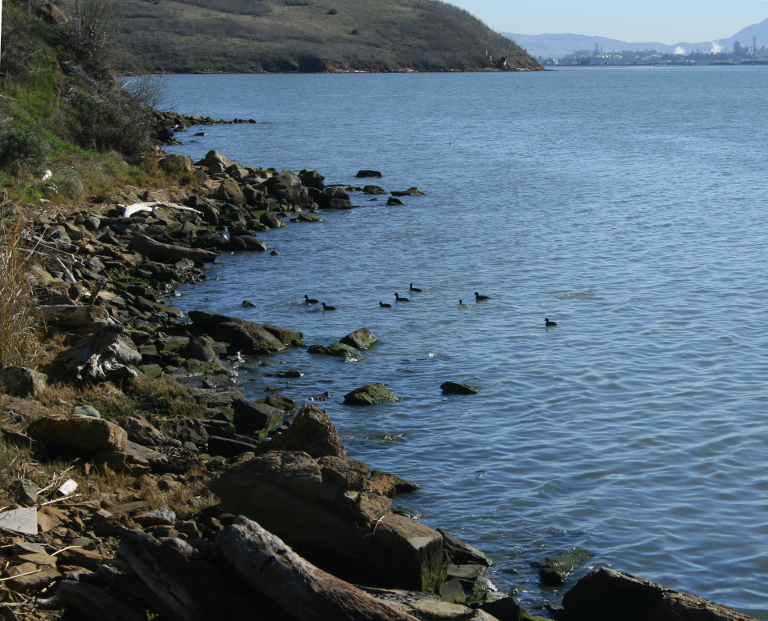 Looking east along the Sacramento River.