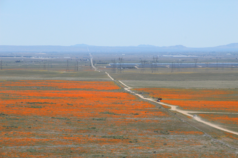 Saddleback Butte