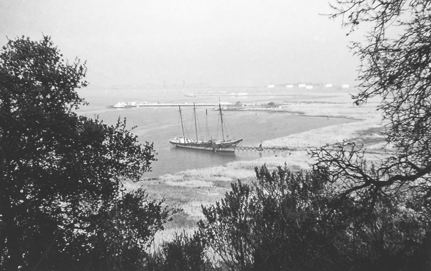 Schooner Forester
