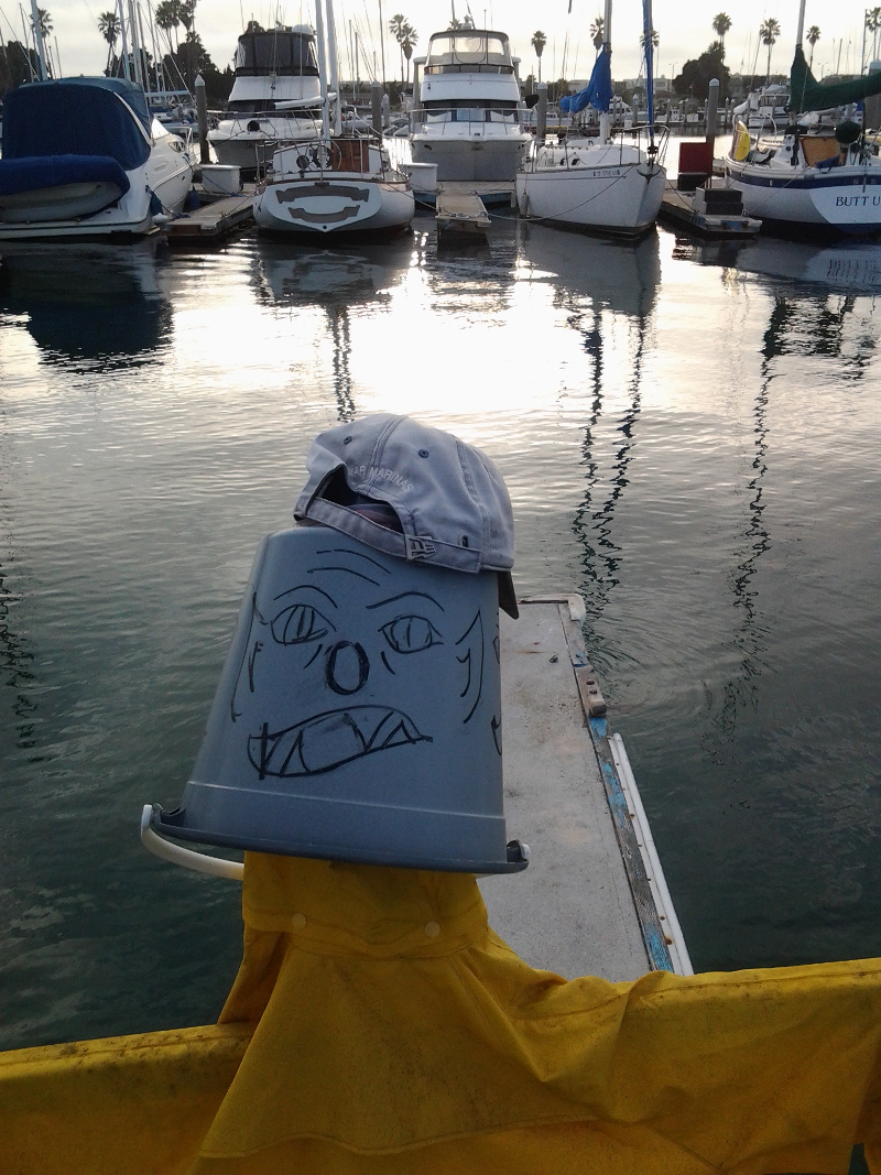 sea lion deterrent at pennisula yacht harbor