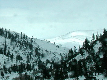 sierra snowscape