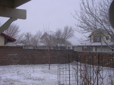 snow mid day