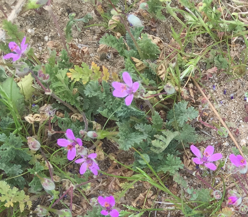 April greenery