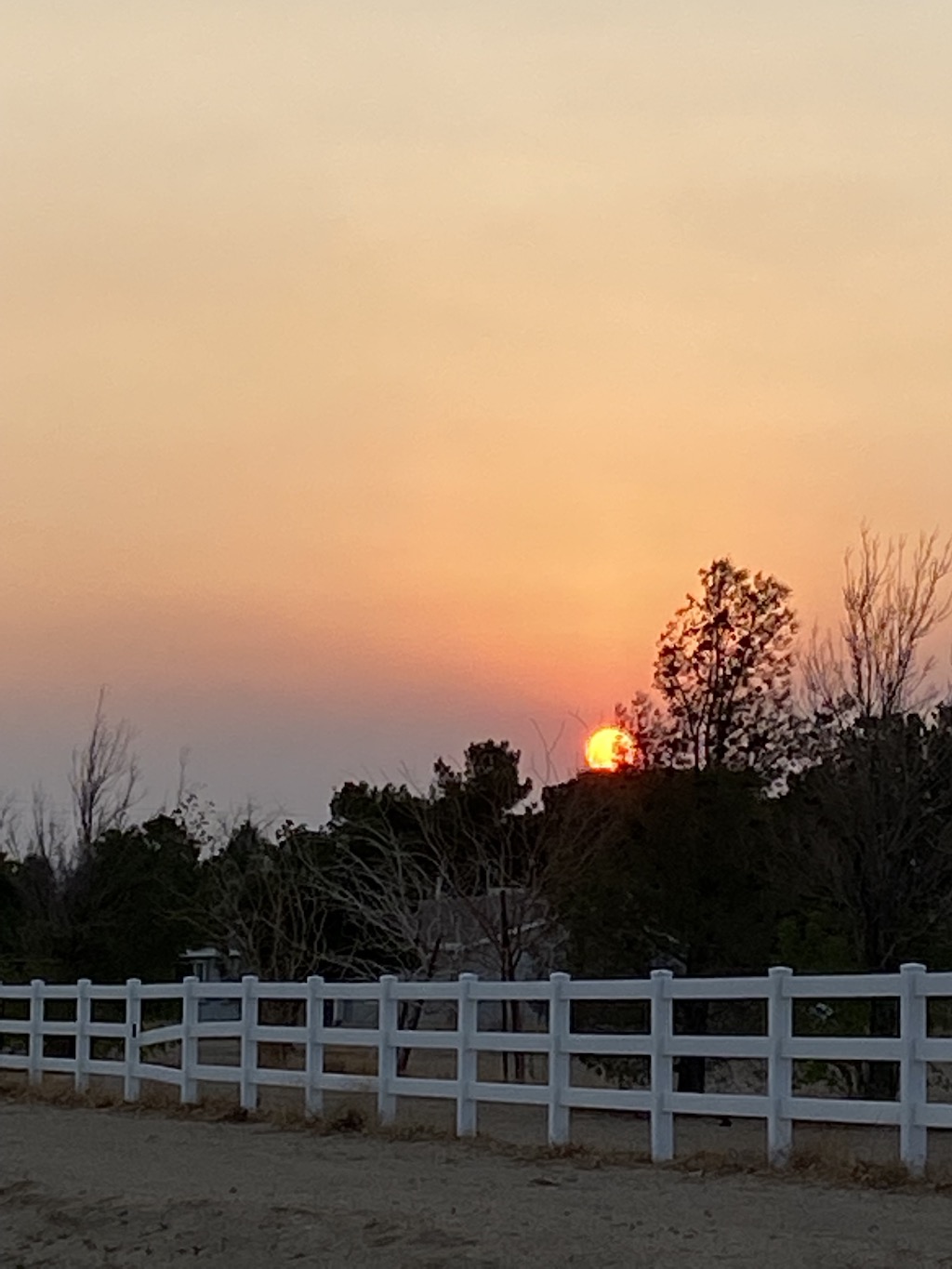 A smoky sunset, early August 2021.