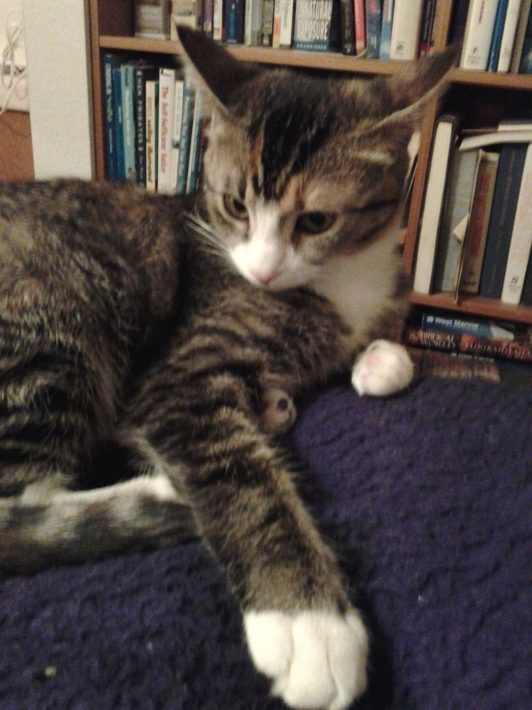 suzy and books