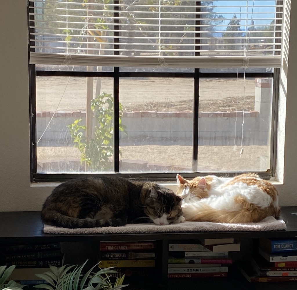 Suzy and Jim napping.