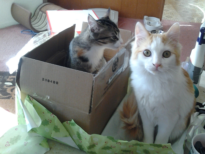 Suzy and Jimmy enjoying their presents