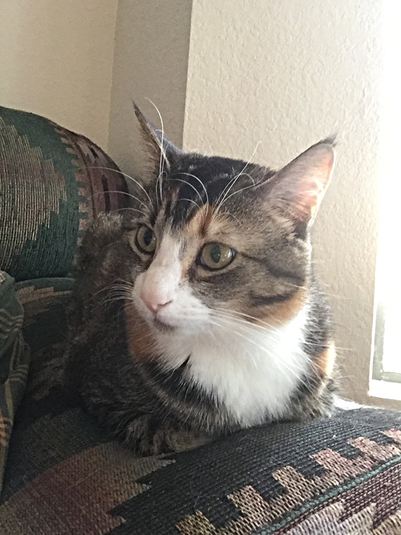 Suzy being wary of something.