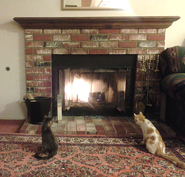Suzy, Jimmy, and their first fireplace experience.