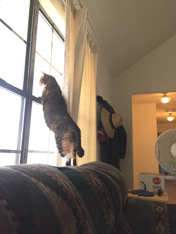 Suzy looking out the window