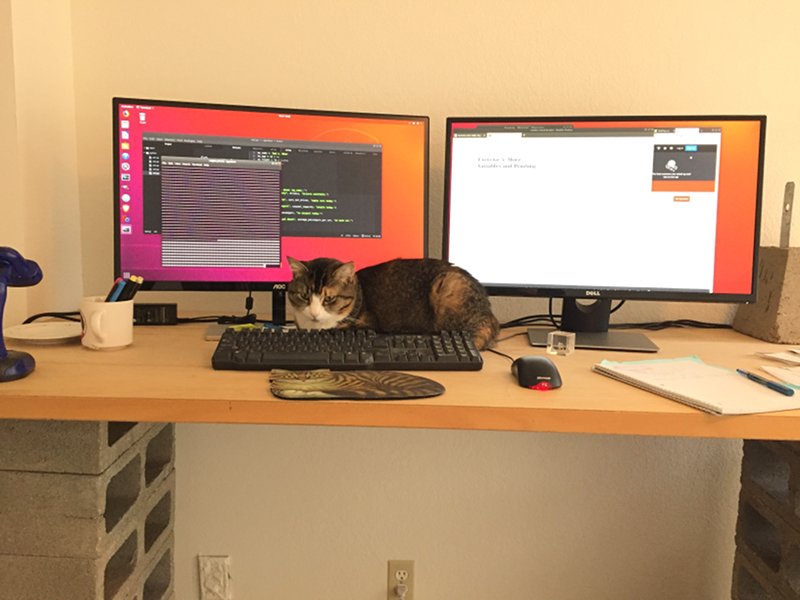 Suzy using the keyboard