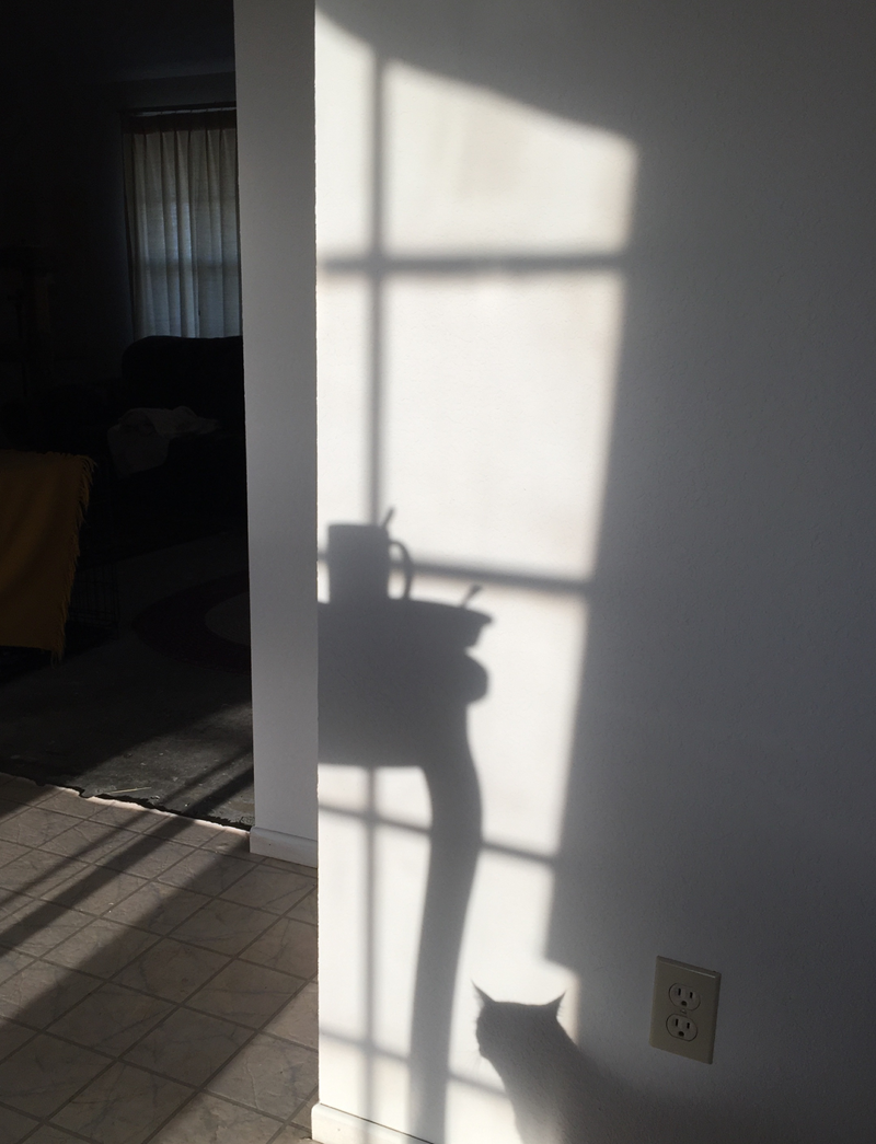 Suzy's shadow