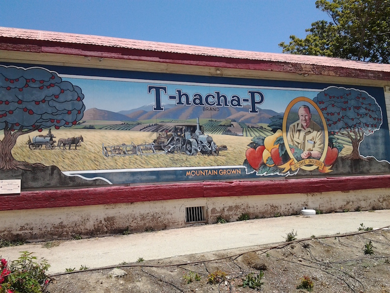 t-hacha-p