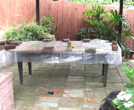 table covered in plastic