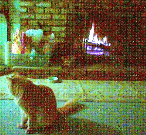 Theo in front of the fire