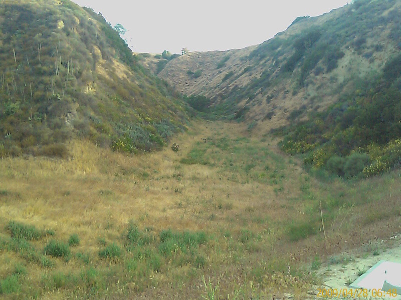 a dry canyon somewhere in ventura county