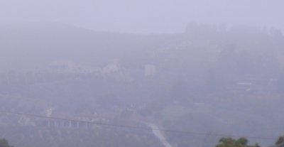 Ventura hillside in fog