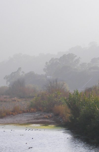 A foggy Ventura River