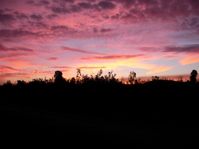 Sunrise over a Ventura orchard