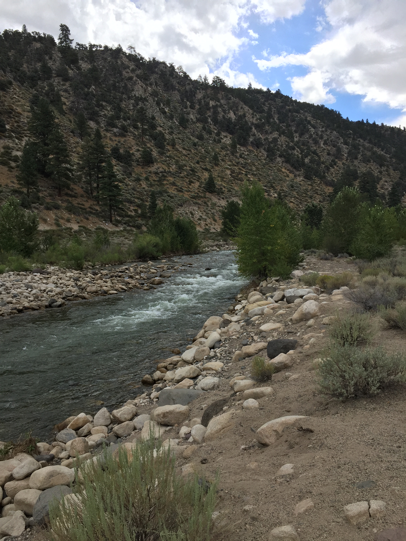East Walker River