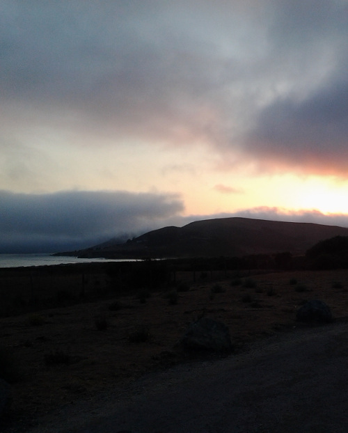 Shoreline just west of Harmony, Ca.