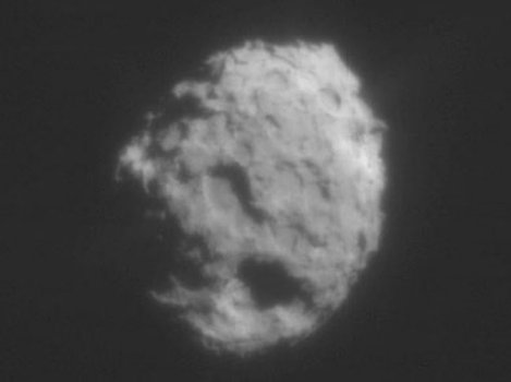comet WILD2