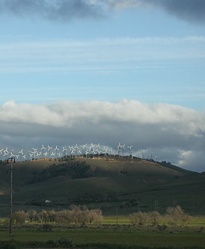 Windmills, Tehachapi, CA.